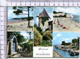 Delcampe - MESCHERS  -  SOUVENIR    -  5   Vues - Meschers