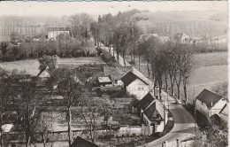 28 - NOGENT LE ROI - Panorama De Chandres Le Moulin Et Route De Maintenon - Nogent Le Roi