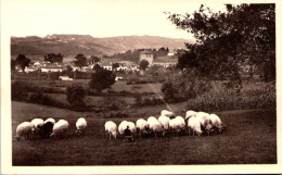 ASCAIN - Vue Générale (côté Sud) - Ascain