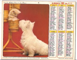 CALENDRIER - ALMANACH 1981 Des PTT  - Départements 75-92-93-94 - CHATS/CHIEN - Groot Formaat: 1981-90