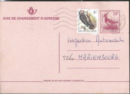 Oiseaux-vogel; Birds BUZIN: N° 27.III.F. Obl: Florennes ( Vanneau Huppé) - Avis Changement Adresse