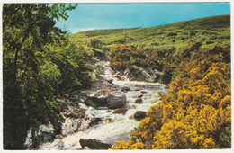 Ach Nan Pulag, Near Melness, Tongue, Scotland - Sutherland