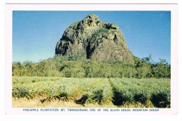RB 1086 -  Queensland Australia Postcard - Mt Tibrogargan Pineapple Plantation - Sonstige & Ohne Zuordnung