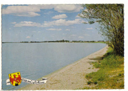 Zicksee Bei St. Andrä 1977gel - Neusiedlerseeorte