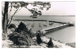 RB 1088 - Chapman Real Photo Postcard - Torquay Harbour Fron Rockwalk - Devon - Torquay