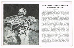 RB 1088 -  Early Postcard - Skeleton Remains & Scipt - Cheddar Caves Somerset - Cheddar