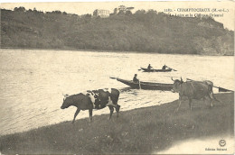 49  CHAMPTOCEAUX    LA  LOIRE  ET  LE  CHATEAU  ORIENTAL - Champtoceaux