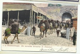 Bureau Autrichien De Constantinople Au Verso  Carte Postale: Les Murailles Terrestres De Stamboul, - Eastern Austria