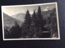 AK Italia Trentino-Alto A.MERANO MERAN PASSEGGIATA TAPPEINER FOTOGRAFIA LEO BAEHRENDT -1929.No.5093..CARTOLINA - Merano