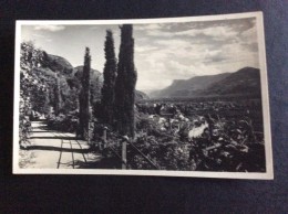AK Italia Trentino-Alto A.MERANO MERAN PASSEGGIATA TAPPEINER FOTOGRAFIA LEO BAEHRENDT -1929.No.5090..CARTOLINA - Merano