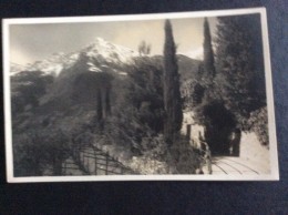AK Italia Trentino-Alto A.MERANO MERAN PASSEGGIATA TAPPEINER FOTOGRAFIA LEO BAEHRENDT -1929.No.5091..CARTOLINA - Merano