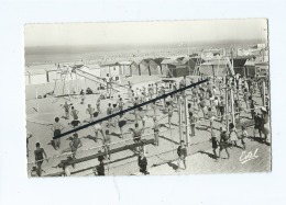 CPSM  -  Berck Plage  -  Vue Sur La Plage - Berck