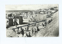 CPSM  -  Berck Plage  -  Jeux Sur La Plage - Berck