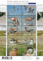 Nederland  2016   Griend Vogel  Birds  Ducks Sheetlet   Postfris/mnh/neuf - Nuovi