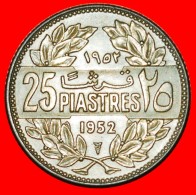 * FRANCE: LEBANON  25 PIASTERS 1952 CEDAR! LOW START  NO RESERVE! - Liban