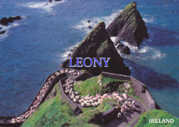CPM D´ IRELAND - IRLANDE  - SALUTATIONS - GREETINGS -  MOUTONS - Other & Unclassified