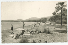 Var - 83 - Cavalaire Sur Mer Plage De Pardigan 1954 - Cavalaire-sur-Mer