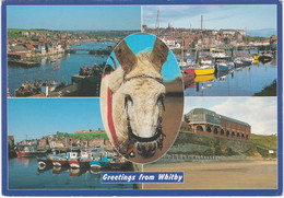 Whitby, Yorkshire Multiview. Pavilion, Harbour, Abbey. Unposted - Whitby