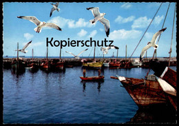 ÄLTERE POSTKARTE HARBOUR OF PEARL FISHERS' FLEET KUWAIT KUWEIT Hafen Port Postcard Ansichtskarte AK Cpa - Kuwait