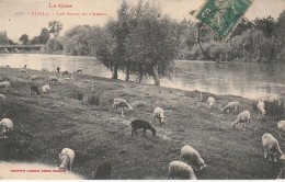 32 - RISCLE - Les Bords De L'Adour - Riscle