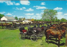 CA.- Kitchener Waterloo Ontario. Mennonite Meeting House, Horses And Buggies Lined Up Behind Martin's Old Order. 2 Scans - Kitchener