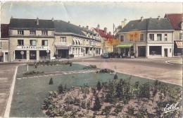 CPSM - La Loupe - La Place De L'hotel De Ville Et Ses Parterres   ( En L´état ) - La Loupe