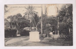 CPA GUINEE FRANCAISE, JARDIN PUBLIC DE CONAKRY En 1911!! - French Guinea