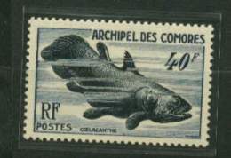 Comores ** N° 13 - Faune Marine . Coelacanthe - Unused Stamps