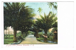 RB 1090 - Early Postcard - A Date Palm Avenue Honolulu - Hawaii - USA - Honolulu