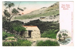 RB 1090 - Early Ethnic Postcard - Grass House Manoa Valley - Honolulu Hawaii - USA - Honolulu