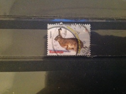 Roemenië / Romania - Jacht (2.10) 2013 Very Rare! - Used Stamps