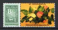 Hungary 2014. Flowers Carneval / Flamingo, DEBRECEN, 20. August, 2014. MNH (**) - Unused Stamps