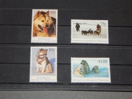 Australian Antarctic Territory - 1994 Huskies MNH__(TH-7223) - Unused Stamps