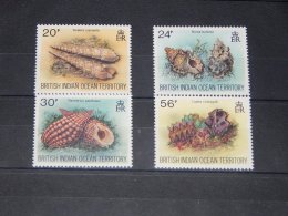 British Indian Ocean - 1996 Shells And Clams MNH__(TH-3210) - Britisches Territorium Im Indischen Ozean