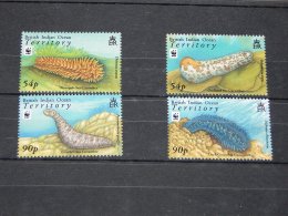 British Indian Ocean - 2008 Sea Cucumbers MNH__(TH-6200) - British Indian Ocean Territory (BIOT)