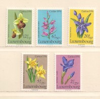 LUXEMBOURG  ( EULUX - 278 )   1976   N° YVERT ET TELLIER  N°  886/890     N** - Ungebraucht