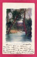 ETATS-UNIS COLORADO, Pike's Peak From Briarhurst, 1905 - Ohne Zuordnung