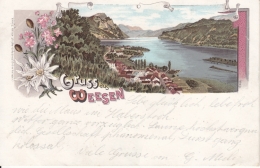 Weesen, Gruss Aus - Farbige Litho - Weesen