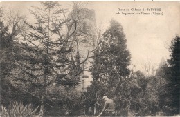 INGRANDES - Tour Du Château De St Ustre -  Timbrée TTBE - Ingrandes