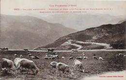 CPA ANDORRE  Non Circulé Moutons - Andorra