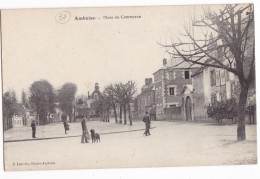 AMBOISE. - Place Du Commerce. Cliché Rare - Amboise