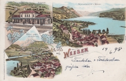 Weesen, Gruss Aus - Farbige Litho - Bahnhof, Gesamtansicht, Glärnisch - Weesen