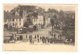 CPA 64 SALIES DE BEARN Marché Au Betail - Salies De Bearn
