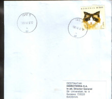 Romania, Letter Circulated In 2006 , Stamp With Cat Ragdoll - Briefe U. Dokumente