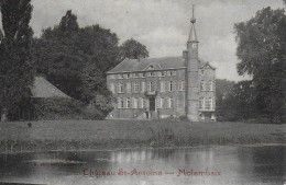 CELLES. MOLEMBAIX.  CHATEAU St-ANTOINE. - Celles