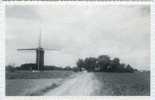 HUISE Bij Zingem (O.Vl.) - Molen/moulin/mill - De Huisekoutermolen Kort Na Zijn Oprichting In 1973-1975. - Zingem