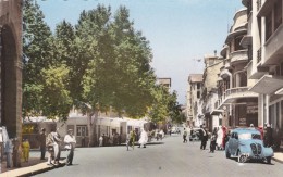 Algérie Française  : Tiaret .Rue Albert Soler Peugeot , Traction Avant - Tiaret