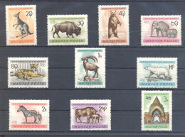 Hungary - 1961 Budapest Zoo MNH__(TH-8745) - Neufs