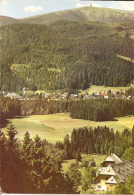 Hinterzarten - Ortsansicht 6   Mit Feldberg - Hinterzarten