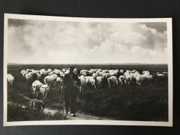 ,,Op De Grote Stille Heide Dwaalt De Herder Eenzaam Rond..."---uitg.Natuurbeschermingswacht,Meppel,ongebruikt - Meppel